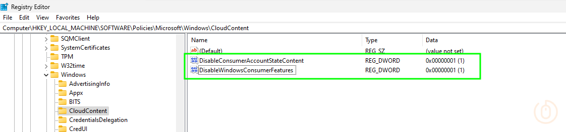 Windows Pro registry settings