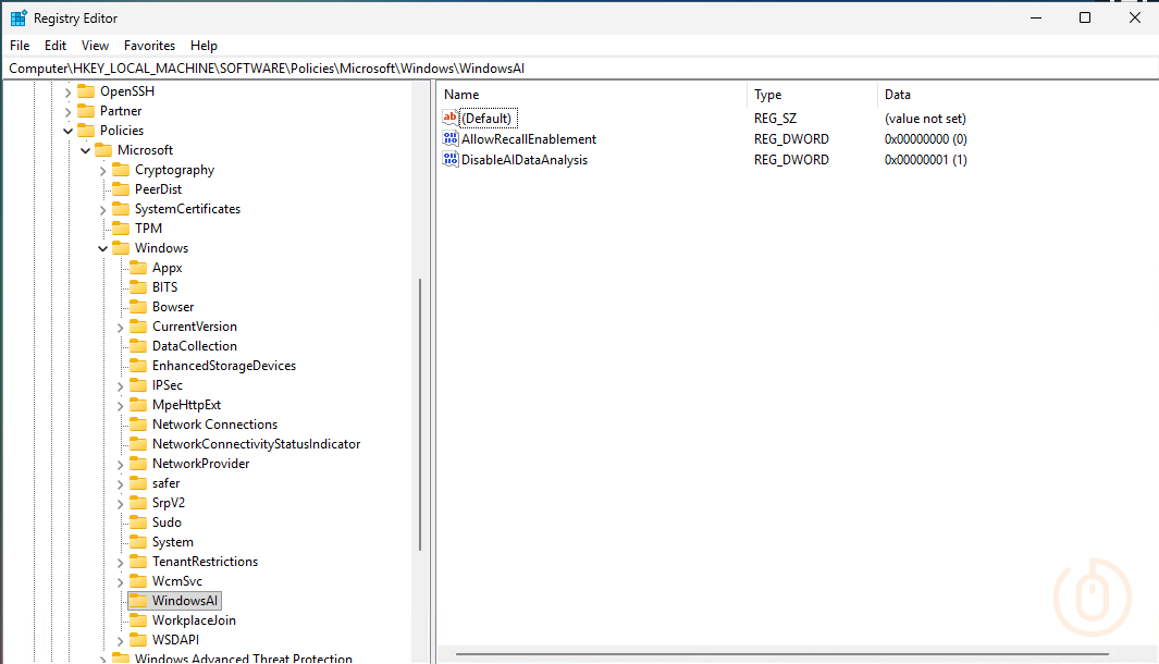 Windows Recall Registry entries